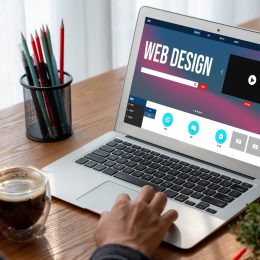 Servicio Desarrollo Web
